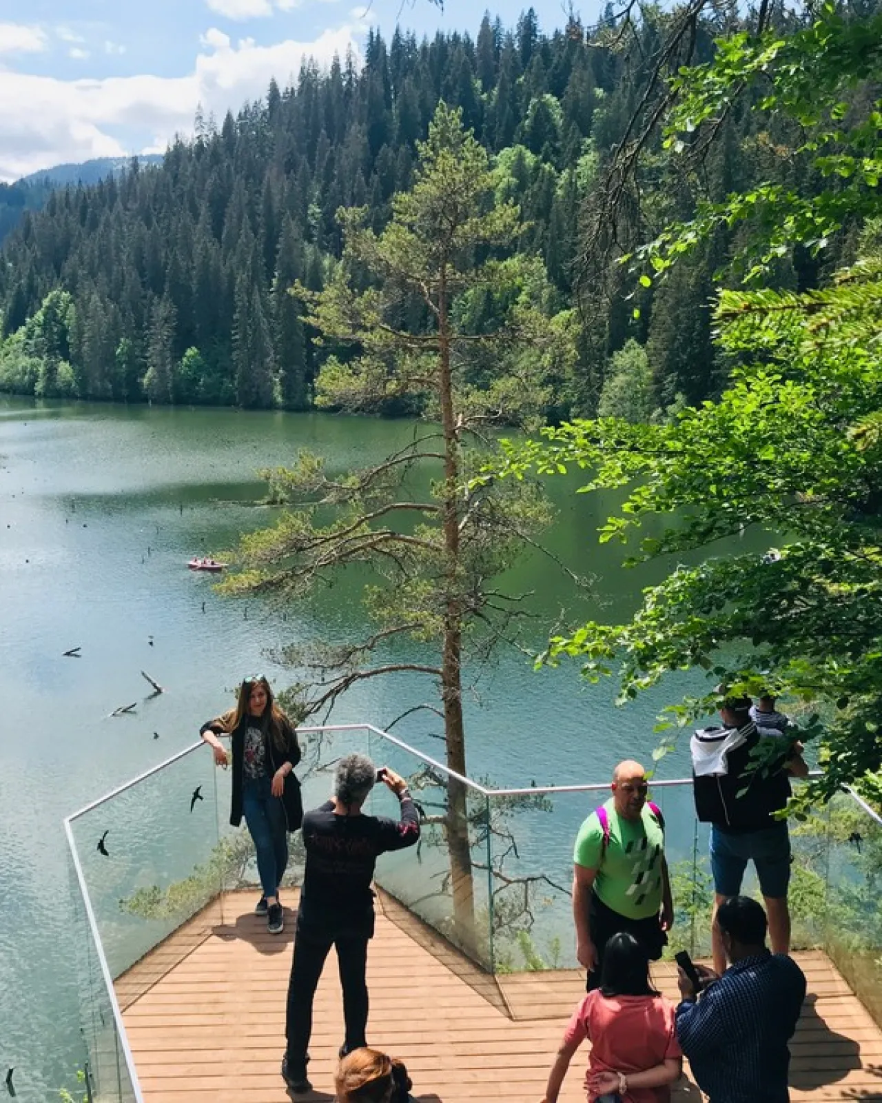 Pensiunea Vladurel - Lacul Rosu