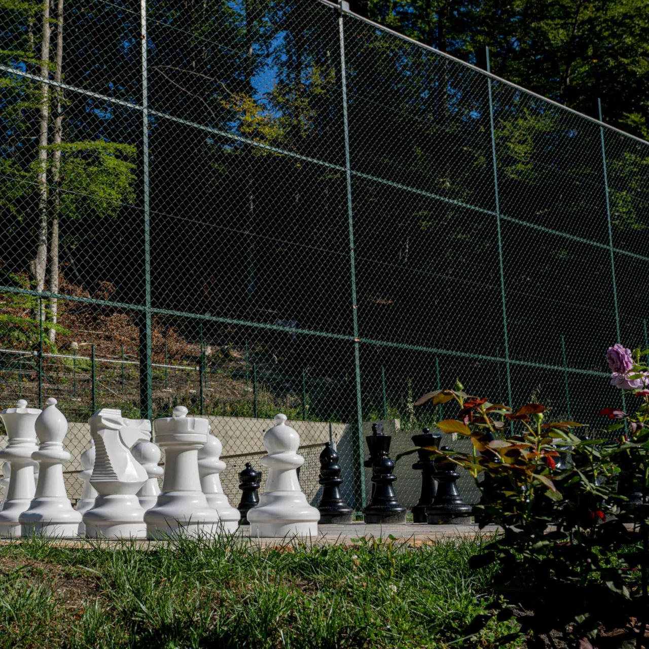 Pensiunea Vladurel - Evenimente corporate