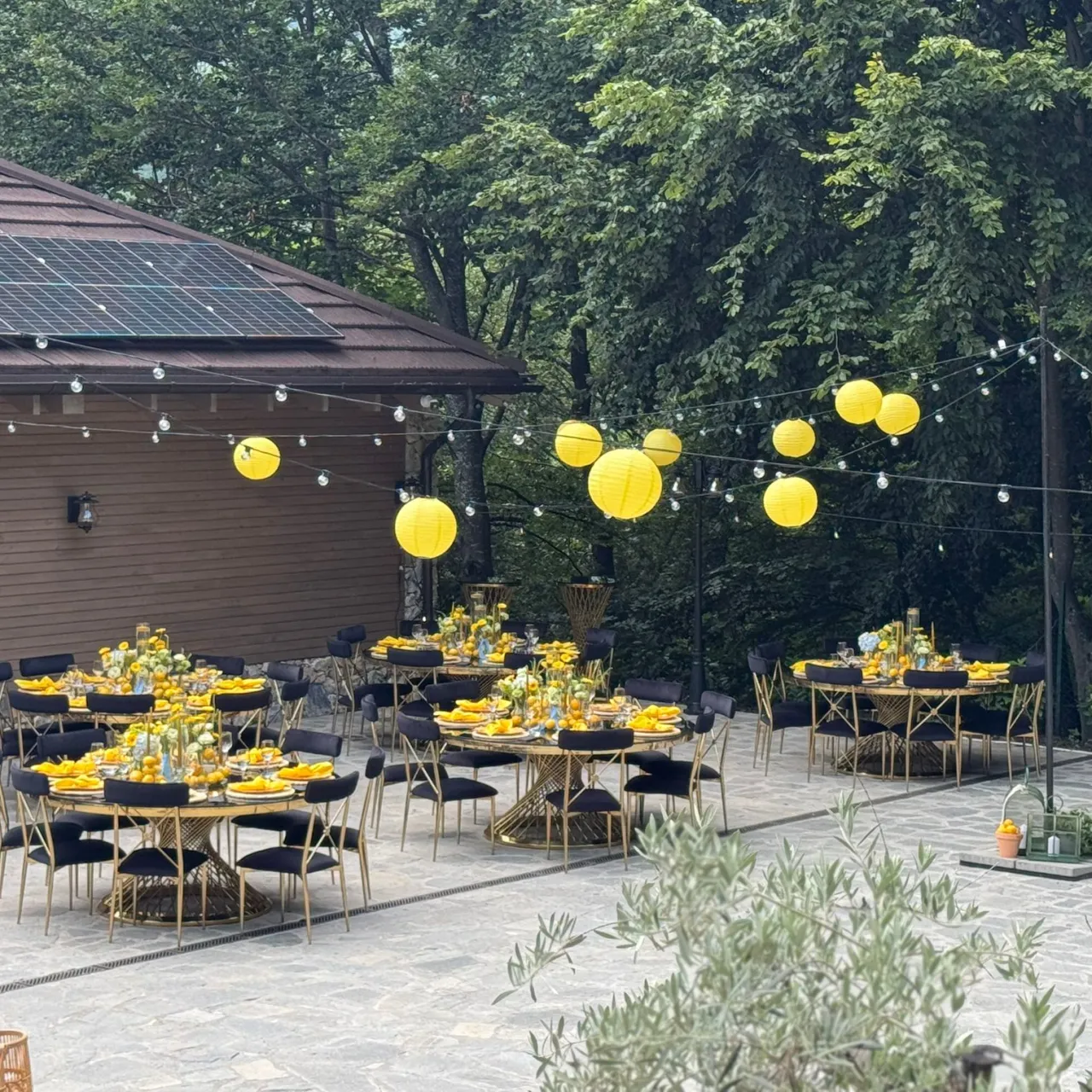 Pensiunea Vladurel- Terasa