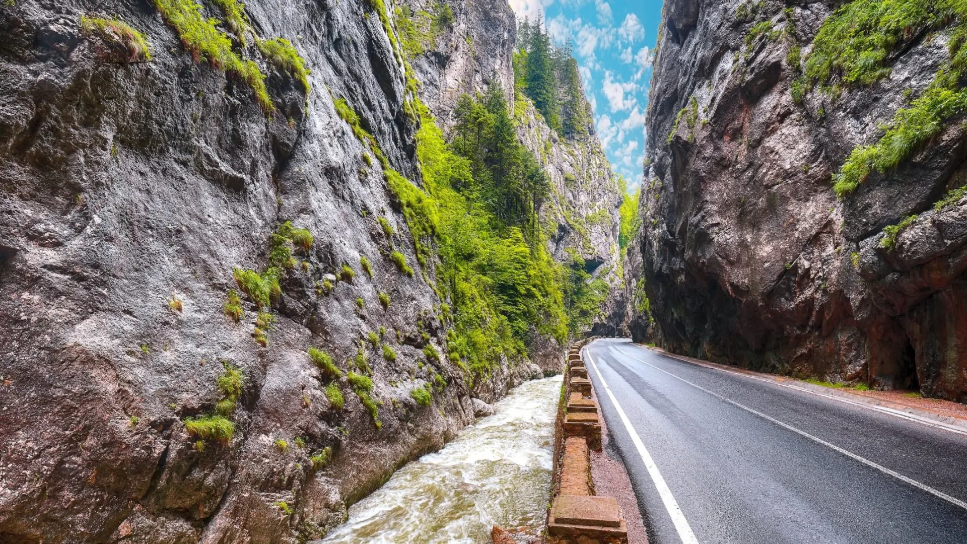 Pensiunea Vladurel - Jurnal