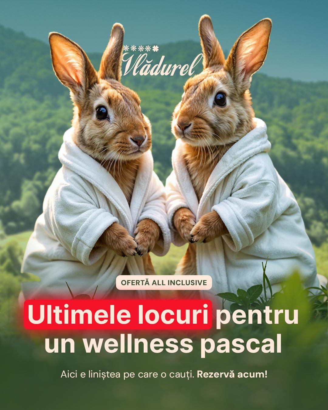 Stress de Paște? Lasă-i să confirme!