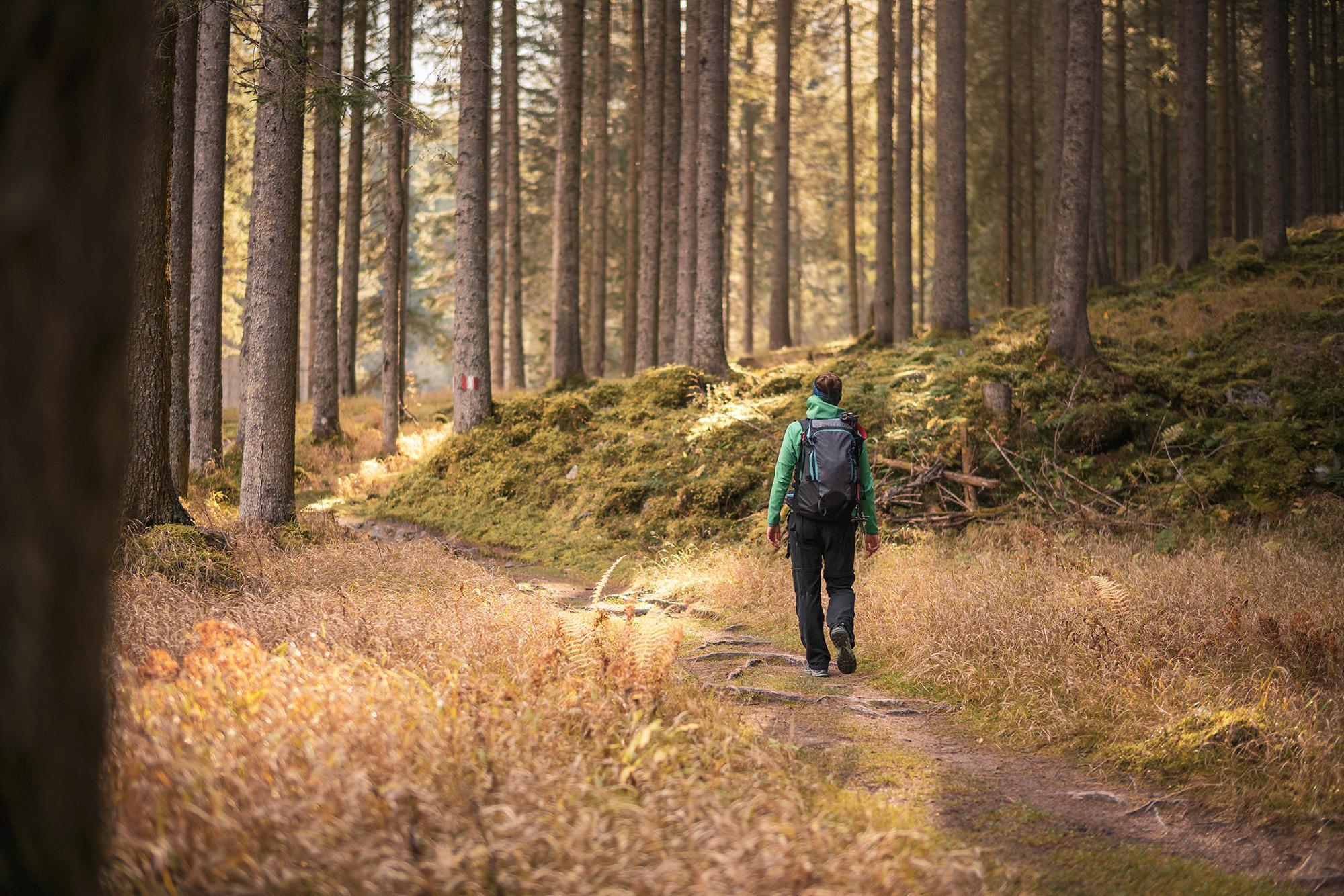 Poteci și drumeții montane aproape de Vladurel