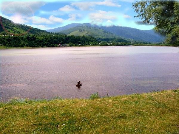 Punctul de observare a biodiversității – Pângărați